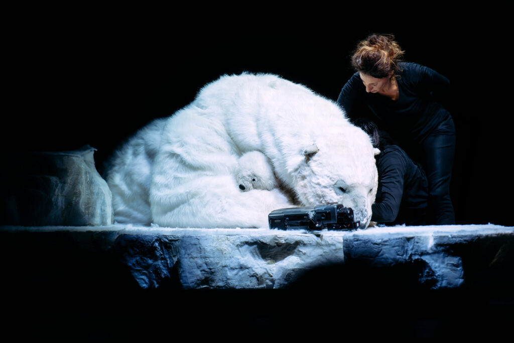 Production Image of Polar Bear